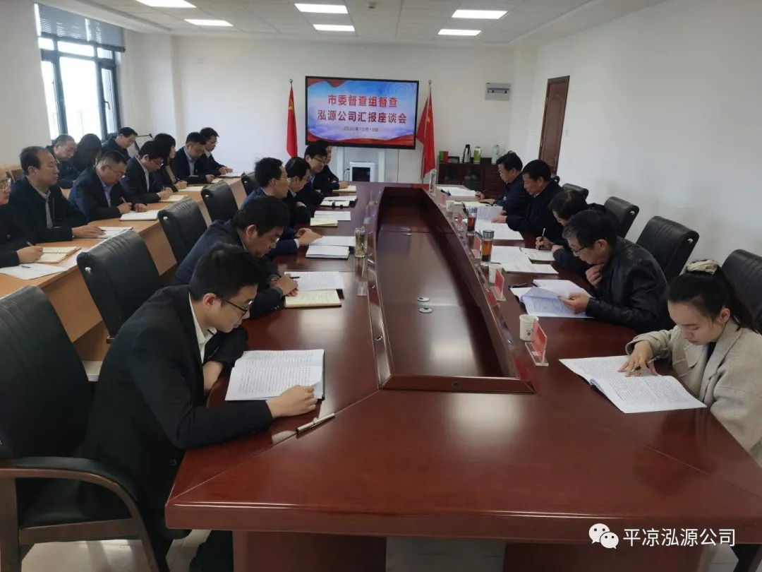 市委辦公室、市政府國資委督查泓源公司工作(圖4)